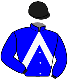 casaque portée par Duchier C. jockey du cheval de course JIVAILYS DU VERNET, information pmu ZETURF