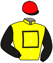 casaque portée par Dubourg P. jockey du cheval de course BELISMA, information pmu ZETURF
