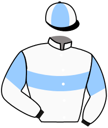 casaque portée par Nabet K. jockey du cheval de course NOVAK, information pmu ZETURF