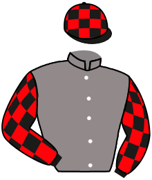 casaque portée par De Giles F. jockey du cheval de course SHEZALA, information pmu ZETURF