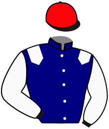 casaque portée par Lepage Axe. jockey du cheval de course MAGIC THEYSS, information pmu ZETURF