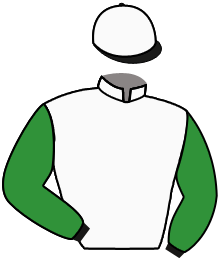 casaque portée par Seigneul A. jockey du cheval de course BEATRIX LESTRANGE, information pmu ZETURF