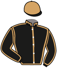 casaque portée par Poincot Chr. jockey du cheval de course IMENHOTEP, information pmu ZETURF