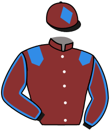 casaque portée par Journiac Tho. jockey du cheval de course HAUT LES MASQUES, information pmu ZETURF