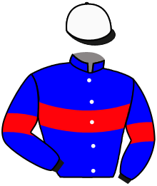 casaque portée par Breux D. jockey du cheval de course ACHKI, information pmu ZETURF