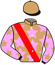 casaque portée par Lebouc Hug. jockey du cheval de course SHAMASUN, information pmu ZETURF