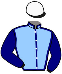 casaque portée par Claudic J. jockey du cheval de course ANDARTIS, information pmu ZETURF