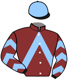 casaque portée par Chauve-Laffay Ben. jockey du cheval de course LAFOLLY DELO, information pmu ZETURF