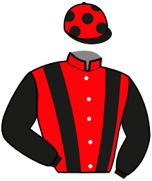 casaque portée par Ploquin Pau. Ph. jockey du cheval de course LAREINE D'OURVILLE, information pmu ZETURF