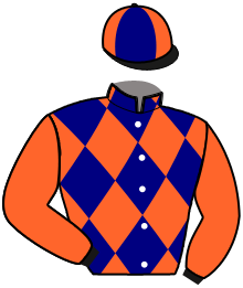 casaque portée par Raffin E. jockey du cheval de course GREG DE NIRO, information pmu ZETURF