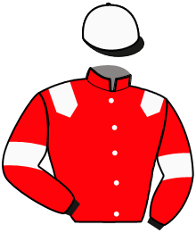 casaque portée par Souloy Mlle E. jockey du cheval de course KENTUCKY SCARLET, information pmu ZETURF