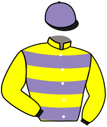 casaque portée par Romary Mlle M. jockey du cheval de course SPARK GOLD, information pmu ZETURF