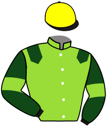 casaque portée par Rodriguez Dav. jockey du cheval de course DEMON VERT, information pmu ZETURF