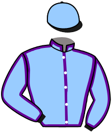 casaque portée par Champier G. jockey du cheval de course BONE MINE, information pmu ZETURF