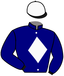 casaque portée par Mayeur R. jockey du cheval de course GUARDAMAR, information pmu ZETURF