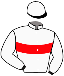 casaque portée par Piccone T. jockey du cheval de course TIC TAC, information pmu ZETURF