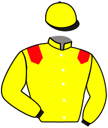 casaque portée par Boisseau L. jockey du cheval de course FLAMINGWAY, information pmu ZETURF