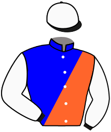 casaque portée par Mangione R. jockey du cheval de course VALLANDO, information pmu ZETURF