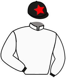 casaque portée par Molins Mme Amb. jockey du cheval de course FAR BEYOND, information pmu ZETURF