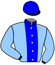 casaque portée par Bails Mlle L. jockey du cheval de course SAXON VILLAGE, information pmu ZETURF