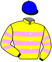 casaque portée par Piechulek R. jockey du cheval de course CLAIM THE STARS, information pmu ZETURF