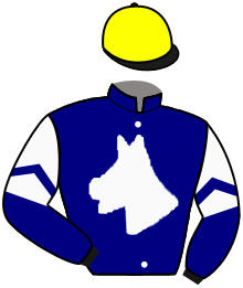casaque portée par Madamet A. jockey du cheval de course ALGECIRAS, information pmu ZETURF