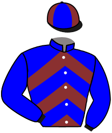 casaque portée par Bouttier Cha. jockey du cheval de course MALAMOCCO, information pmu ZETURF