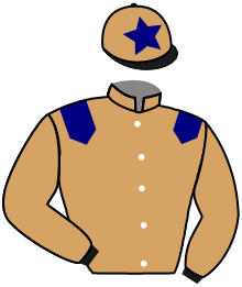 casaque portée par Coupu A. jockey du cheval de course LIZY BLACK BUTLER, information pmu ZETURF