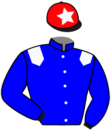 casaque portée par Colson L. jockey du cheval de course LILLY DE VAIGE, information pmu ZETURF