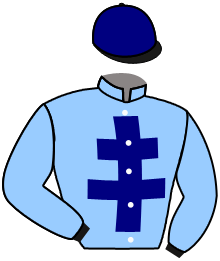casaque portée par Hayeres Fouchard Mme L. jockey du cheval de course SPEED DES LANDES, information pmu ZETURF