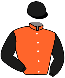 casaque portée par Lebouc Hug. jockey du cheval de course BELLA VITA, information pmu ZETURF