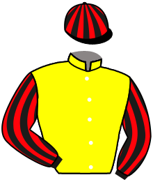 casaque portée par Sias Gio. jockey du cheval de course PIOLI IS ON FIRE, information pmu ZETURF