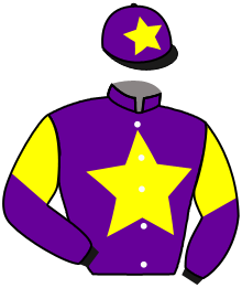 casaque portée par Molins Mme Amb. jockey du cheval de course SKYLIGHT BROCHARD, information pmu ZETURF