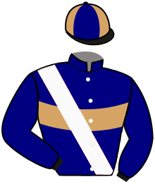 casaque portée par Michel Mlle Mic. jockey du cheval de course PRINCE OF CLOUDS, information pmu ZETURF