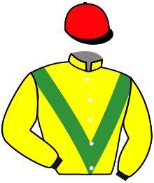 casaque portée par Nabet K. jockey du cheval de course MR NOBODY, information pmu ZETURF