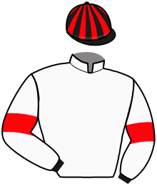 casaque portée par Hervagault St. jockey du cheval de course JOYEUX DES SOURCES, information pmu ZETURF