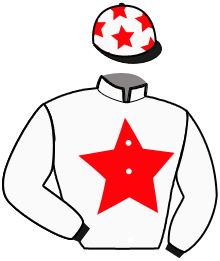 casaque portée par Constantin Mme A. jockey du cheval de course HERMES DE L'ISAC, information pmu ZETURF
