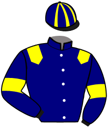 casaque portée par Dousset Y. jockey du cheval de course KAVE DES MARINES, information pmu ZETURF