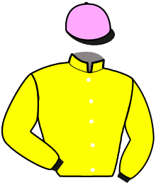 casaque portée par Dubreil J. jockey du cheval de course KRAC BRENUS, information pmu ZETURF