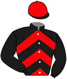 casaque portée par Lebouteiller J. jockey du cheval de course L'AUDACIEUX, information pmu ZETURF