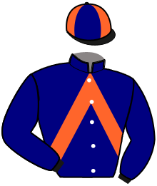 casaque portée par Abrivard M. jockey du cheval de course LEADER DU SAPHIR, information pmu ZETURF