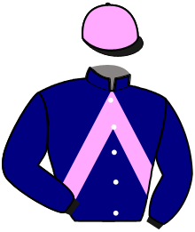 casaque portée par Guillemin L. jockey du cheval de course KAID DES BOSC, information pmu ZETURF