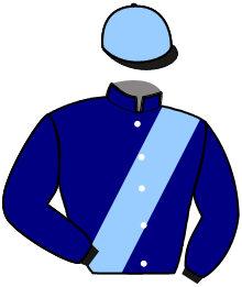 casaque portée par Rocher S. jockey du cheval de course IDOLE DE BERGAULT, information pmu ZETURF