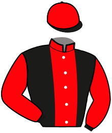 casaque portée par Pou Pou G. A. jockey du cheval de course MISS STORY, information pmu ZETURF