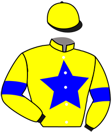 casaque portée par Andre A. jockey du cheval de course LISA D'OURVILLE, information pmu ZETURF