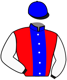 casaque portée par Verva Pie. Y. jockey du cheval de course JEANNE D'ANJOU, information pmu ZETURF