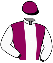 casaque portée par Remoue Pie. jockey du cheval de course MISS DAVIER, information pmu ZETURF