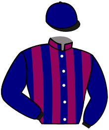 casaque portée par Madamet A. jockey du cheval de course TORPEN, information pmu ZETURF