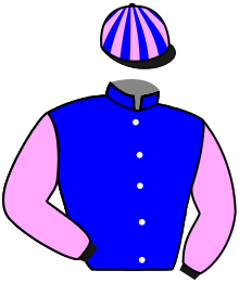 casaque portée par Barzalona M. jockey du cheval de course SHANNA ROSE, information pmu ZETURF