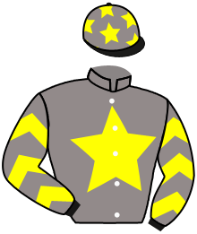 casaque portée par Velon Mlle M. jockey du cheval de course GALILEE DREAM, information pmu ZETURF